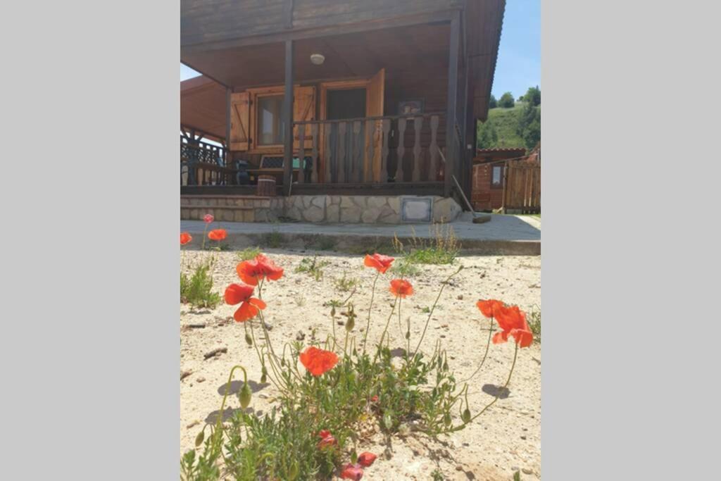Cabana De Madera Especial Y Acogedora Cardenete エクステリア 写真